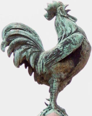 Coq par Charles Samuël